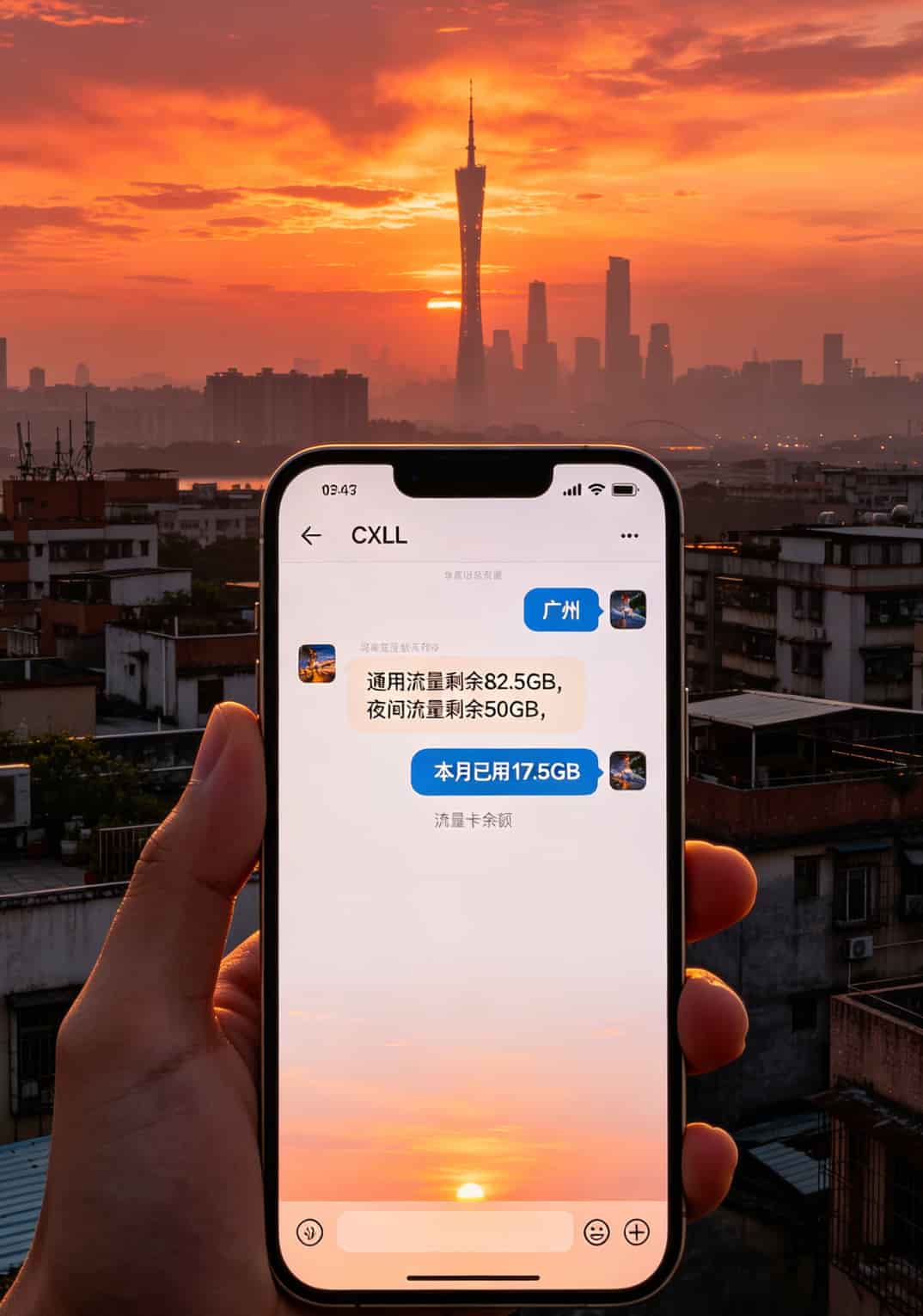 手机短信截图，显示发送“CXLL”后收到的套餐详情回复